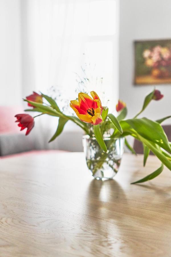 New And Lovely Apartament In Vilnius City Centre エクステリア 写真